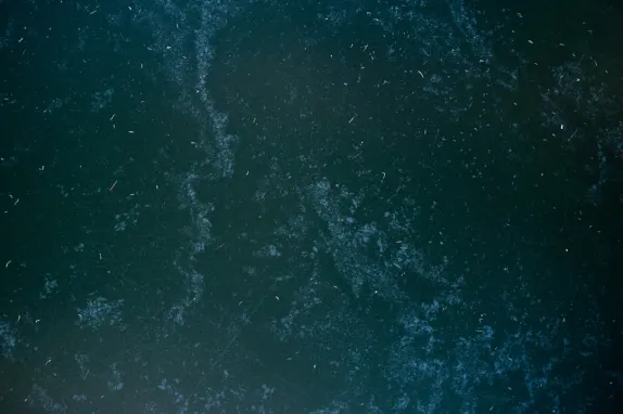 Tournaverse Casino Tugi